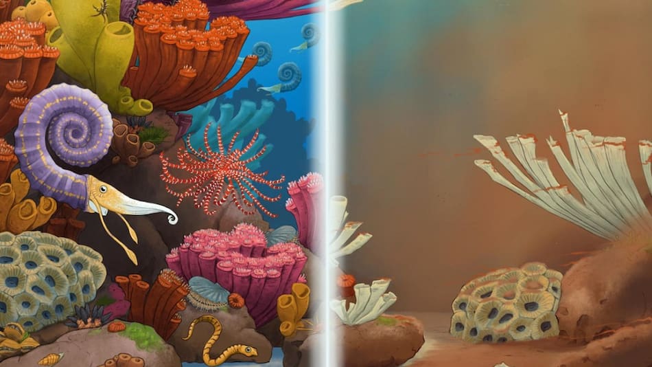 Fósiles invertebrados. Foto: EFE.