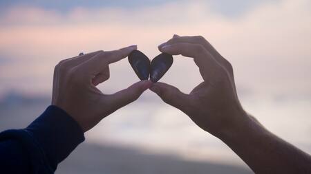 Corazón roto; desamor. Foto: Unsplash