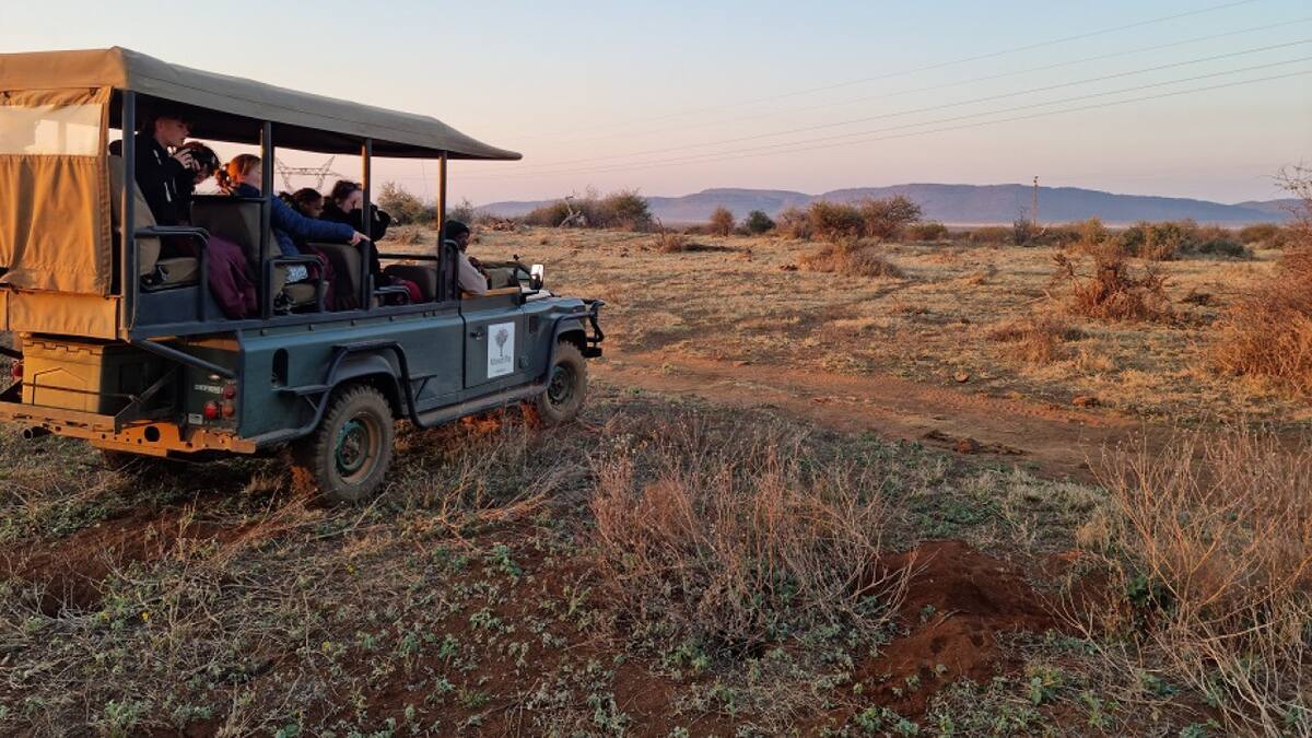 Safari. Unsplash.