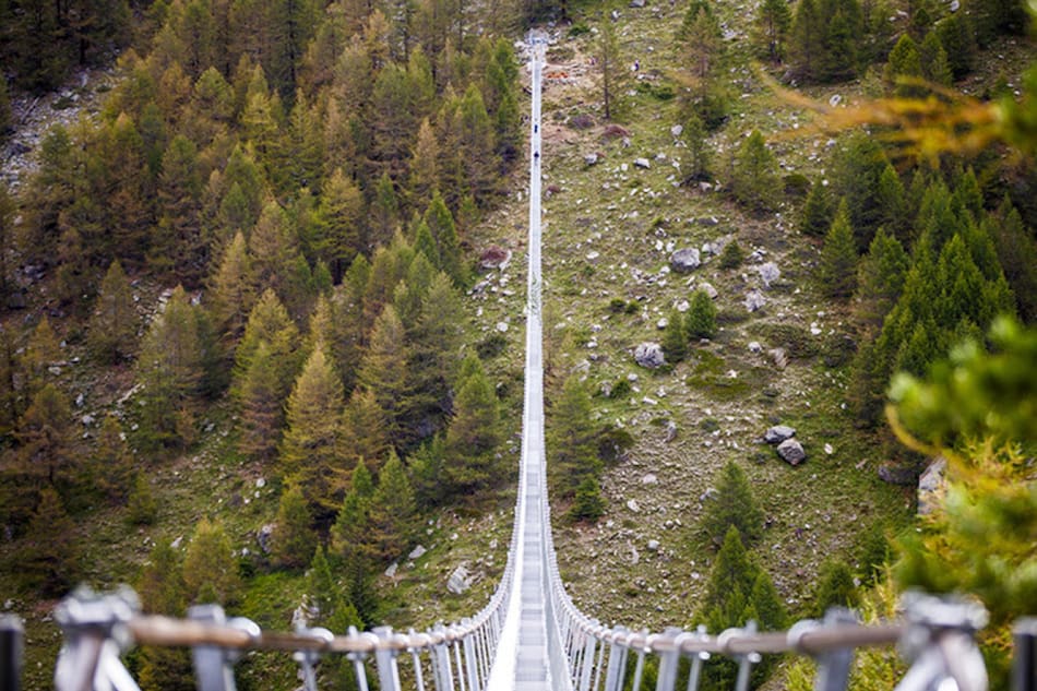 Puente Charles Kuonen, en Suiza. Foto X @_errante_