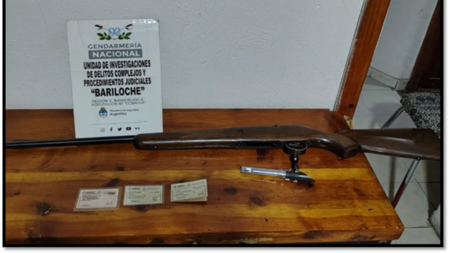 Caza de un guanaco en el Parque Nacional Nahuel Huapi.