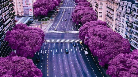 Av. del Libertador, CABA.