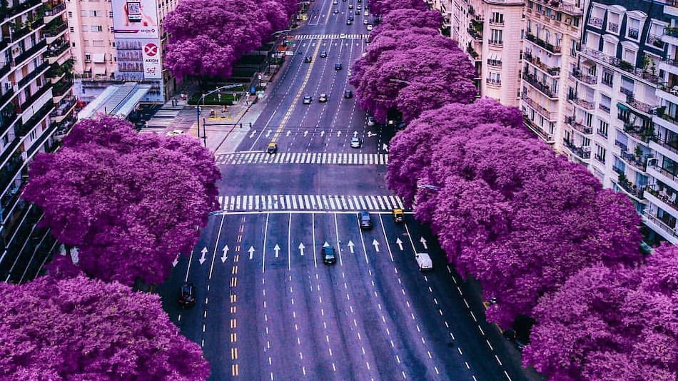 Av. del Libertador, CABA.