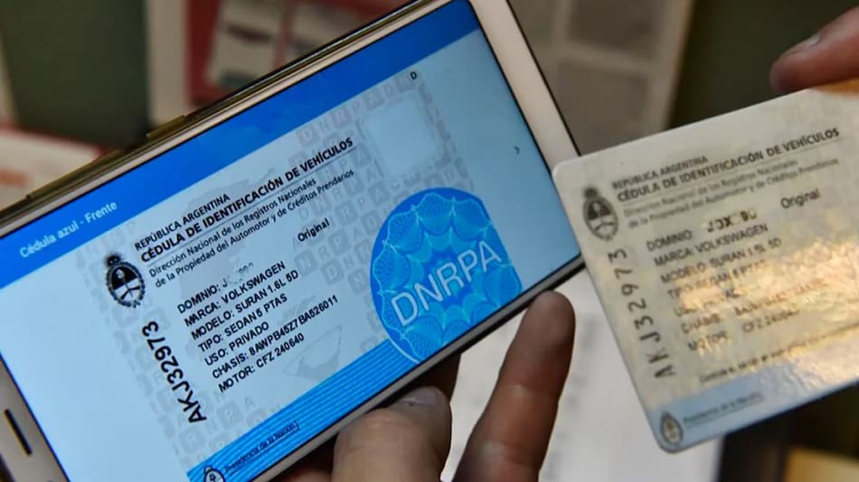 Cédula azul. Foto: Gobierno