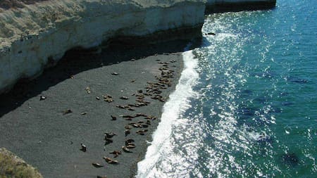 Lobería playa Paraná. Fuente: Turismo Chubut