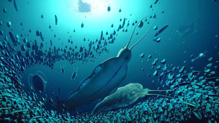 Gusanos gigantes. Foto: Twitter