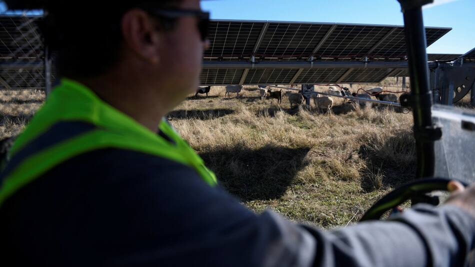 Medida favorable a los grandes agricultores de Estados Unidos. Foto: Reuters/Annie Rice