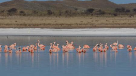 Laguna de Utracán. Foto: Instagram / turismo.lapampa.