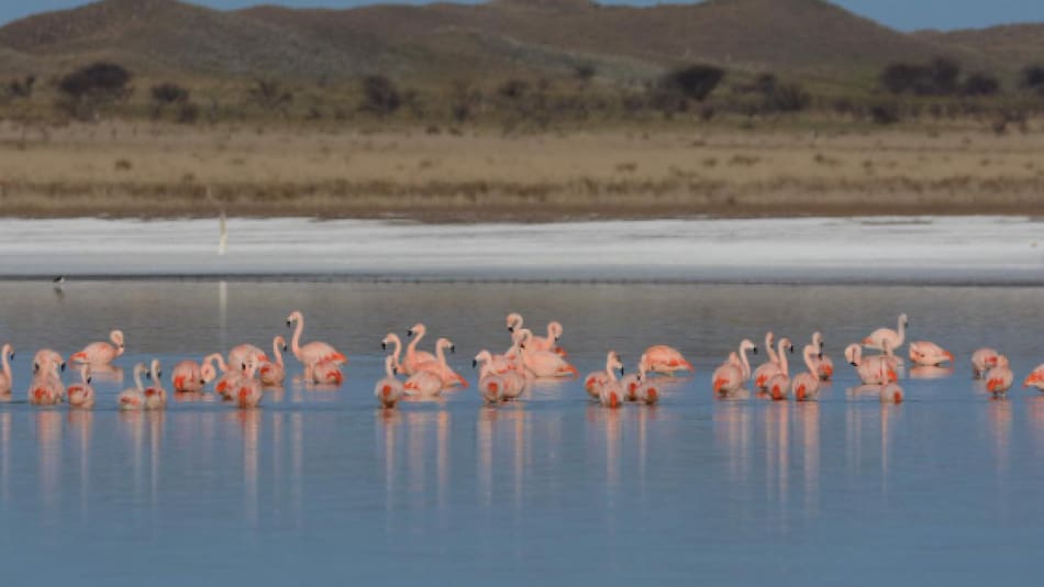 Laguna de Utracán. Foto: Instagram / turismo.lapampa.