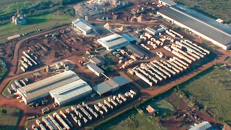 Celulosa Argentina, empresa