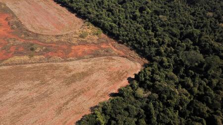 Deforestación en el Amazonía. Foto: Reuters
