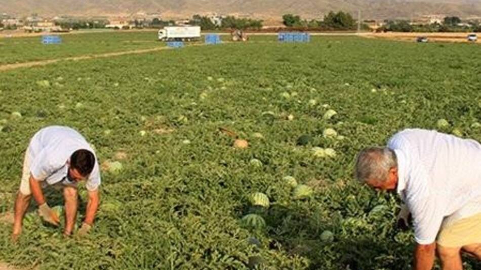Agricultores en Europa, coronavirus
