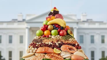 Estados Unidos apuesta a la alimentación para reducir el gasto en salud: la nueva pirámide como política económica