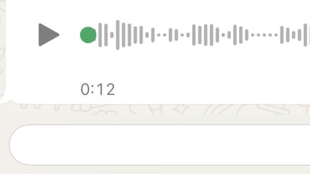 Audios de WhatsApp. Foto Canal26.com