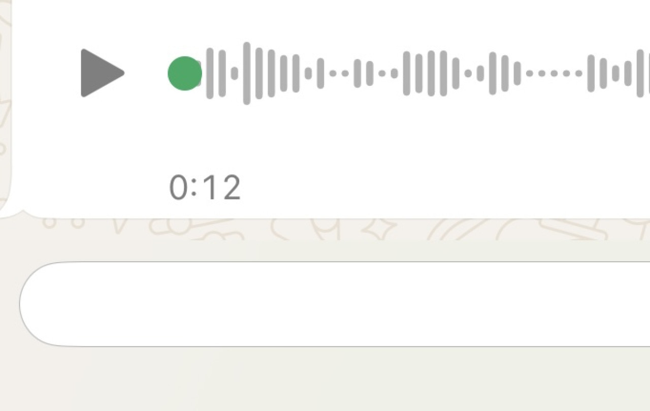 Audios de WhatsApp. Foto Canal26.com