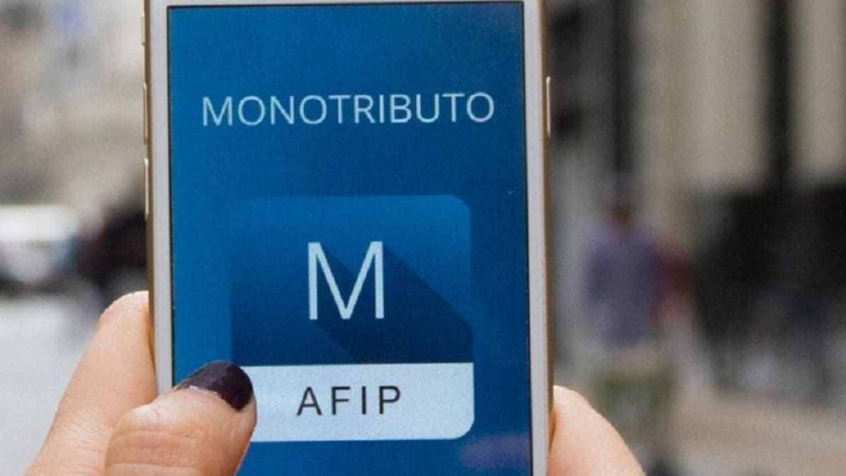Monotributo, AFIP, monotributistas, NA