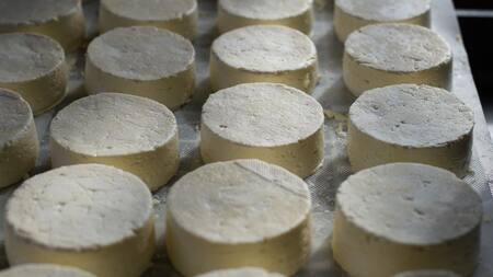 El queso Afuega’l Pitu es originario de las Asturias. Unsplash.