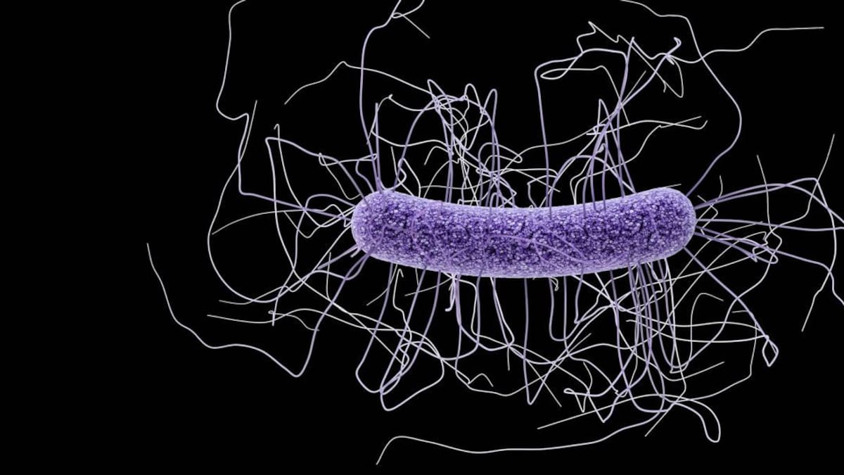 Microbioma, salud. Foto: REUTERS
