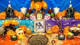 Día de Muertos para las mascotas: los detalles de la tradición mexicana para recordar a los animales