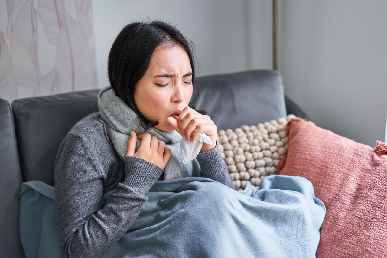 La bacteria Bordetella pertussis es la causante de la tosferina. Foto: Unsplash
