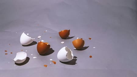 Cáscara de huevo. Foto: Unsplash.