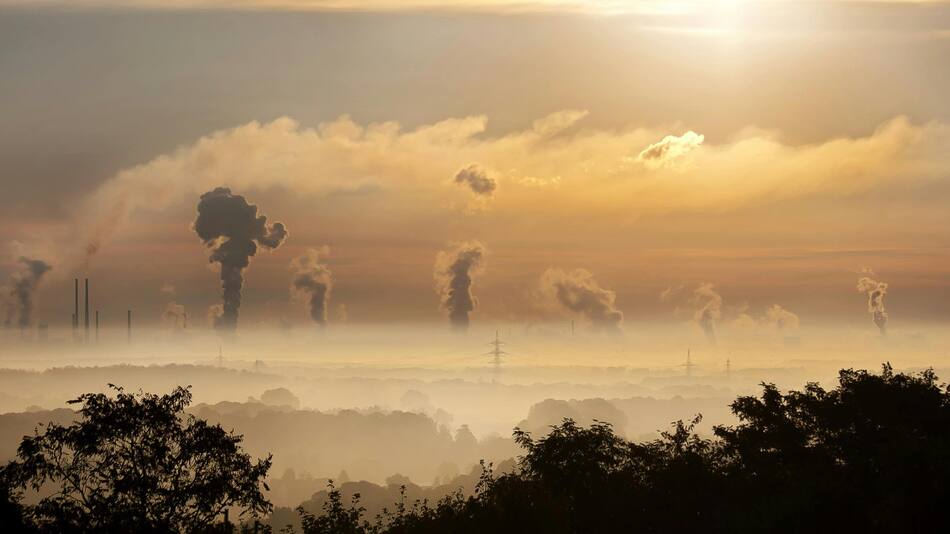 EEUU tiene más leyes en biodiversidad. Fuente: Pexels