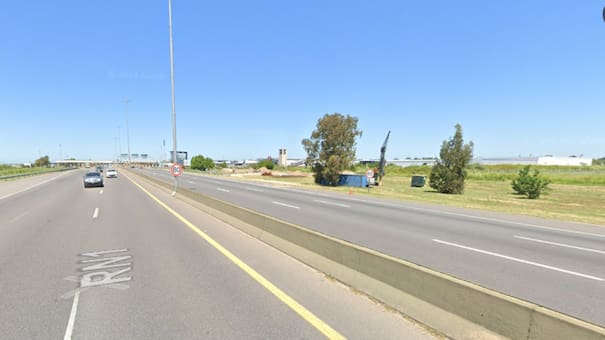 Más seguridad y menos accidentes: Buenos Aires modificará sus rutas para cuidar a los animales