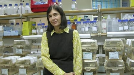 Salud - Telómeros - Nota