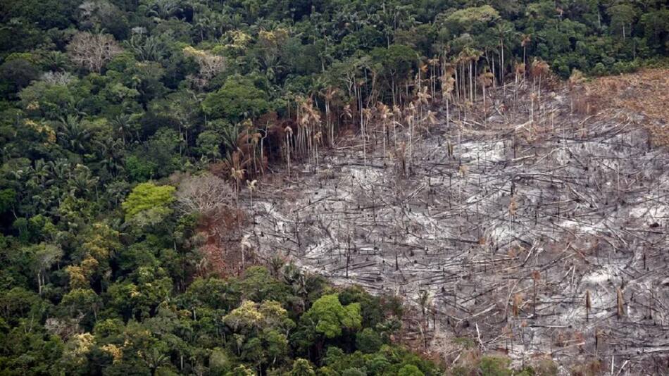 Parque Nacional Natural Tinigua. Foto: EFE