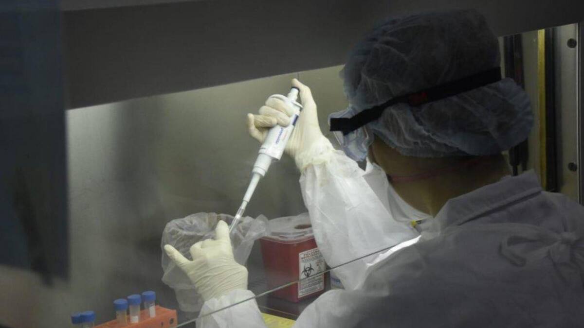 Coronavirus, investigaciones en laboratorios
