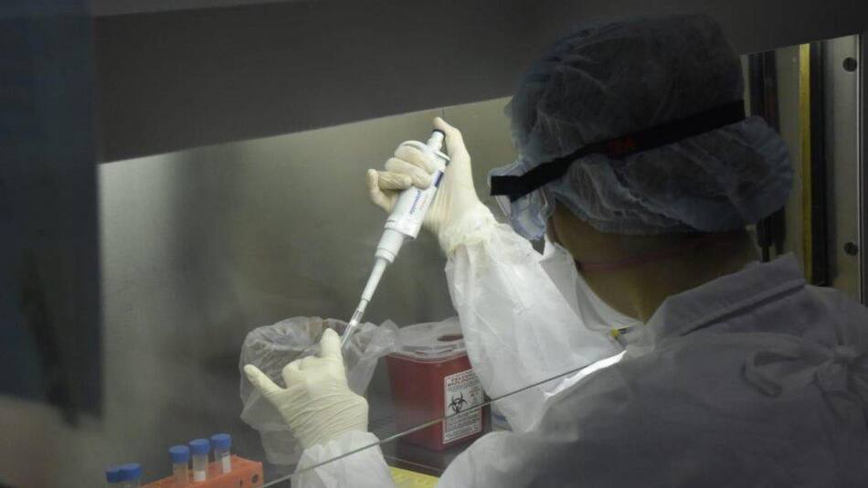 Coronavirus, investigaciones en laboratorios