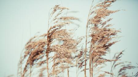 Expertos anticiparon qué sucederá con La Niña: la gran noticia para la Argentina