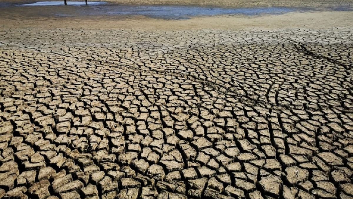 Preocupación en Argentina por la degradación que sufren las tierras