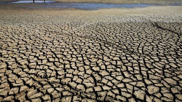 Preocupación en Argentina por la degradación que sufren las tierras