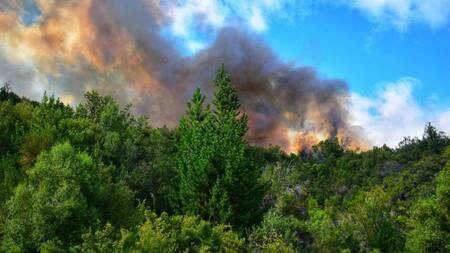 Incendio forestal en el Bolsón
