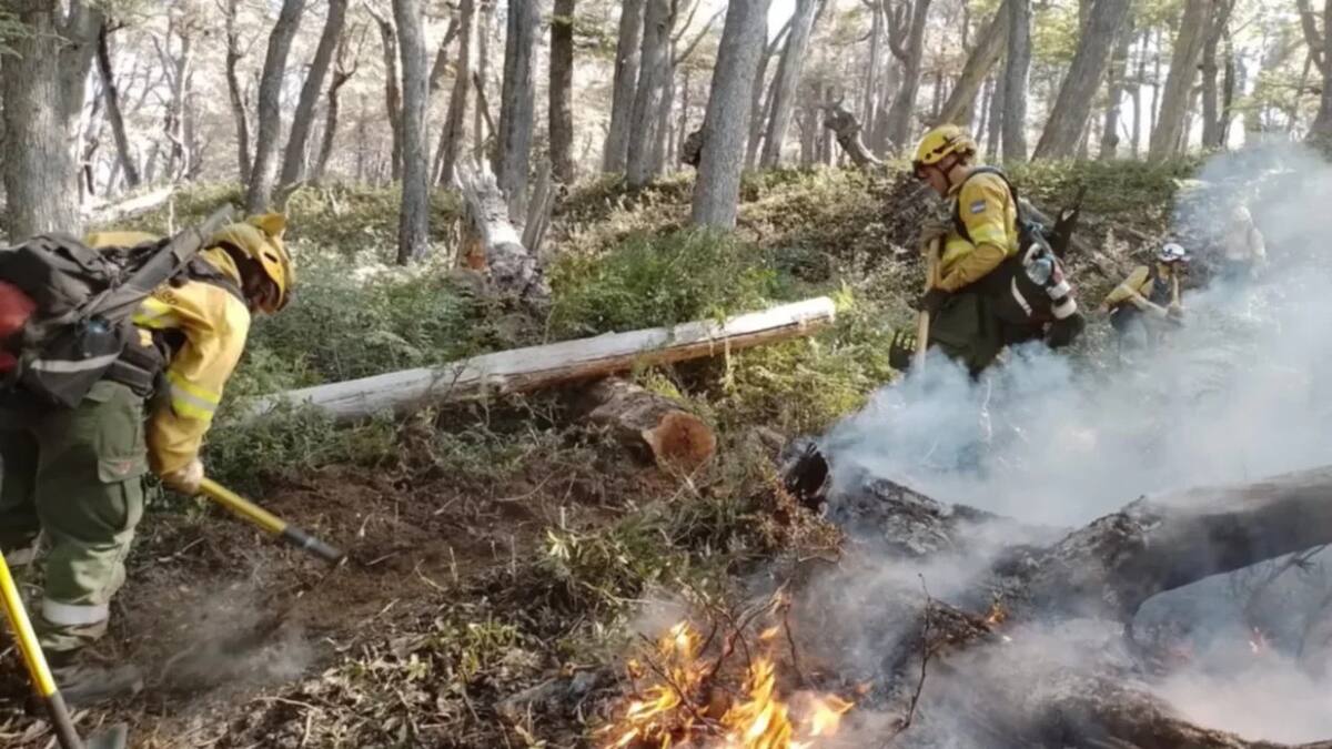 Incendio en Los Alerces. Foto: NA