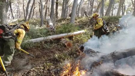 Incendio en Los Alerces. Foto: NA