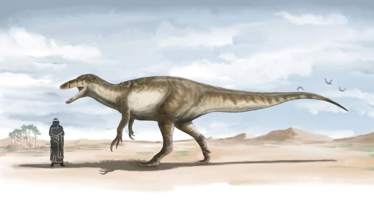 Maip macrothorax, dinosaurio hallado en El Calafate. Foto: Prensa Conicet