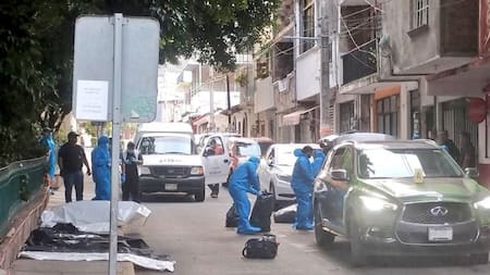 Macabro hallazgo en México. Foto: Twitter @AlfredoAlvarezz