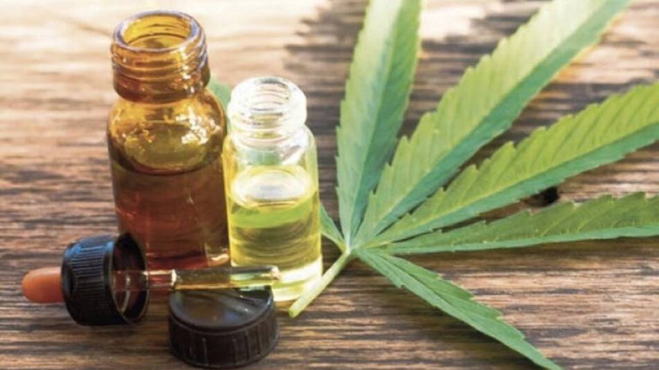 Aceite de cannabis. Foto: NA.