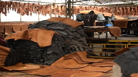 Argentina liberó el negocio del cuero bovino: qué significa este paso para los frigoríficos