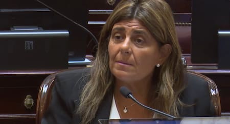 mariana juri senadora ucr