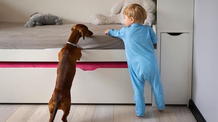 Ni ladridos ni saltos: las señales que confirman que tu perro confía y se siente seguro con vos, según expertos