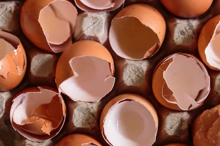 Cáscara de huevo. Foto: Unsplash.