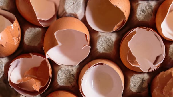 No solo fortalece tu jardín: el otro gran beneficio de la cáscara de huevo que hará que no vuelvas a tirarlas a la basura