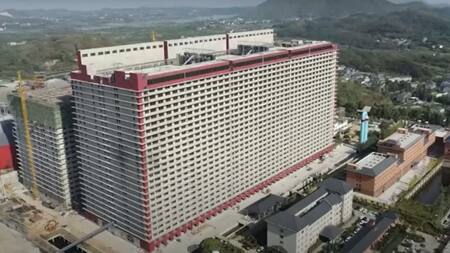 Edificio para criar a más de un millón de cerdos en China. Foto: Ezhou News.