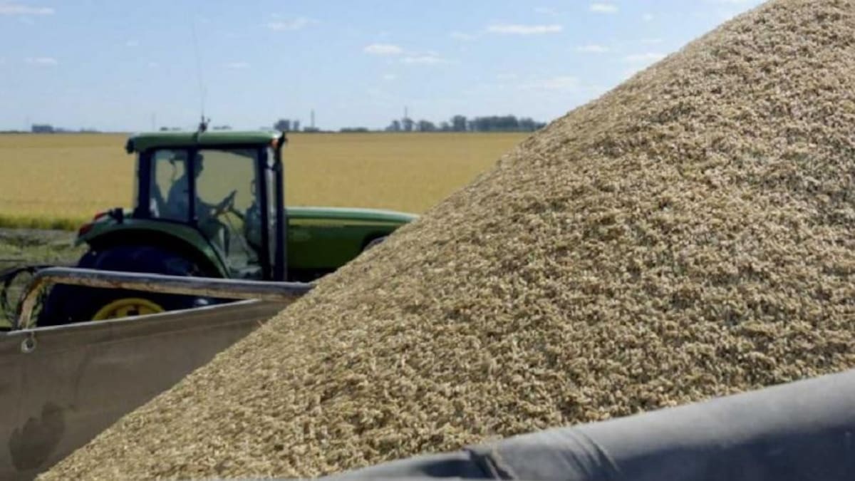 El BCRA busca alentar a productores a vender la cosecha.