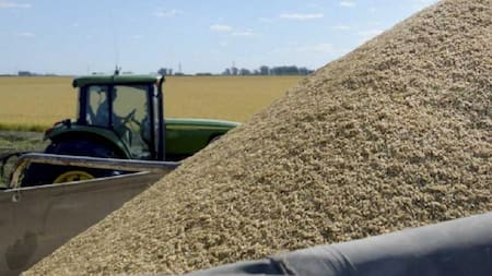 El BCRA creó un nuevo tipo de cambio para que los productores de soja vendan la cosecha