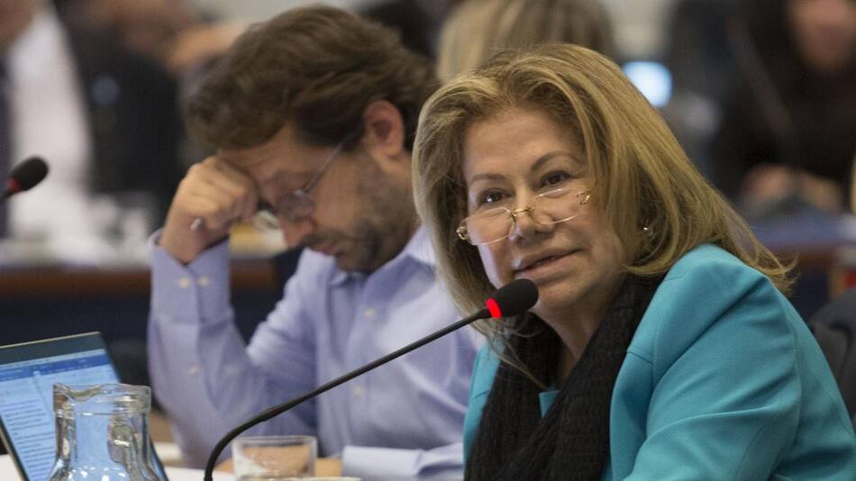 Graciela Camaño, diputada, foto NA