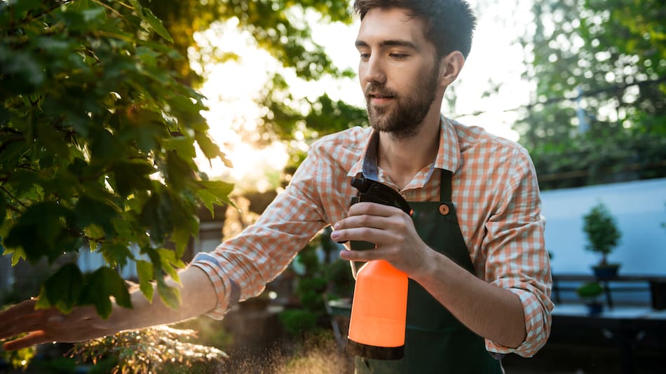 Cuidado del jardín.